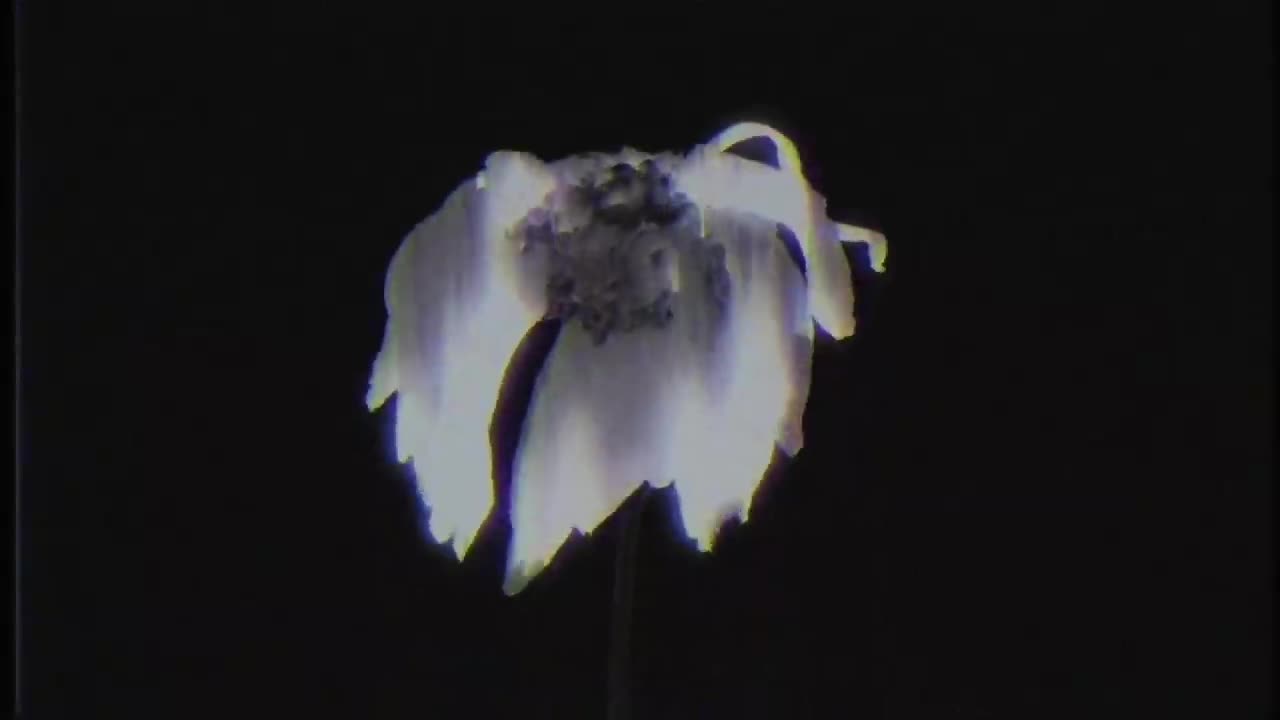 Deftones – Ceremony (Official Visualizer)