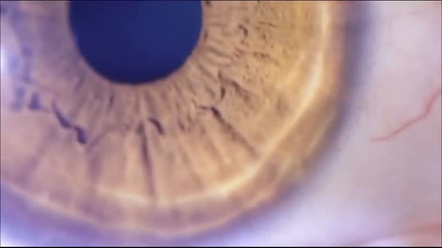 contamina2