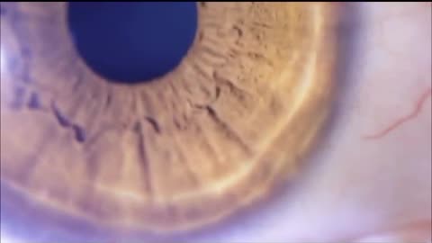 contamina2