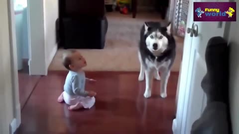 "Baby Talking with Funny Dog Understanding - Funniest Video Compilation"