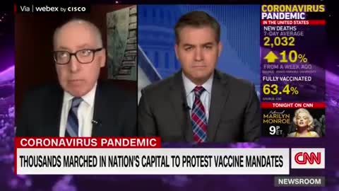 CNN's Acosta, liberal media melt down over Bari Weiss’ COVID remarks: ‘Grow up’