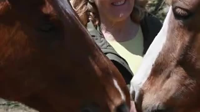 Woman Standing in Front of Horses