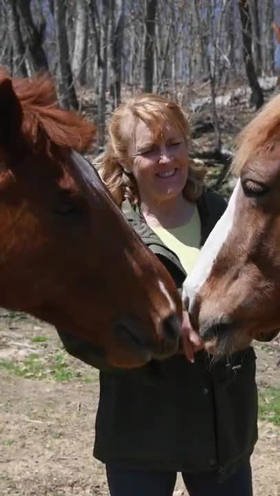 Woman Standing in Front of Horses