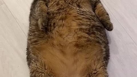 Do you want to touch this belly after a tiring day? 😍