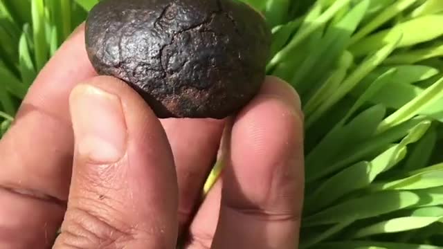 Chondrite météorite piece complet 45gr