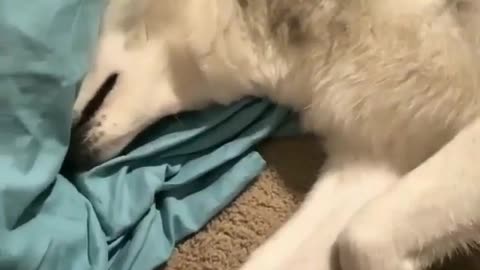 Struggle before going to bed