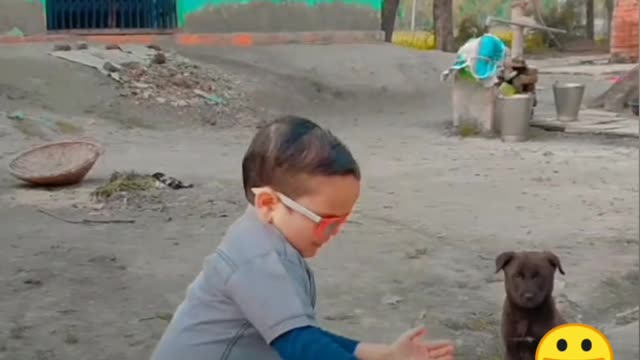 boy and dog funny dance video