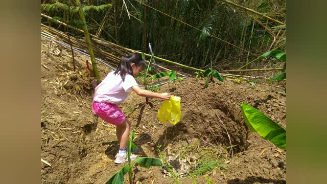 種石頭....Building a stone retaining edge