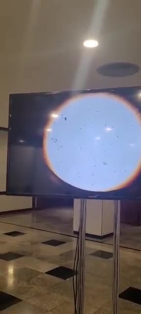 Exposição Microscópica das Vassassinas