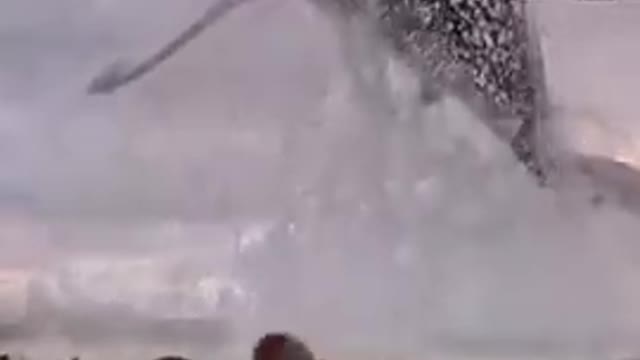 shark_jump_out_of_water_#shark_#sea_#dangerous_#animal_#world(480p)