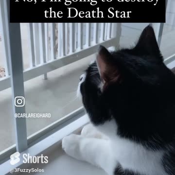 Leia foils Darth Vader in her imagination