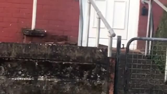 You Wouldn't Have Believed This If My Cat Was Not Seen On Video