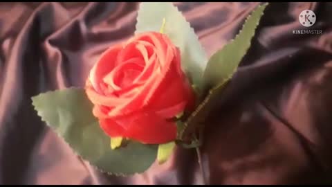 meu jardim florido