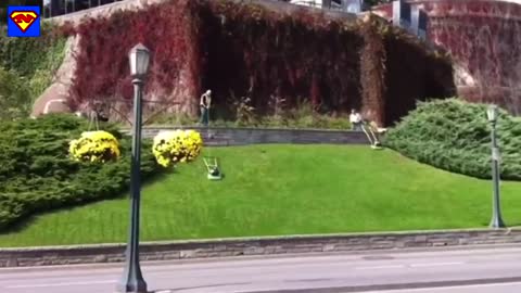 CORONAVIRUS DIED 2 MILLIONS PEOPLE 1 DAY!!!!!!!!! BAIT