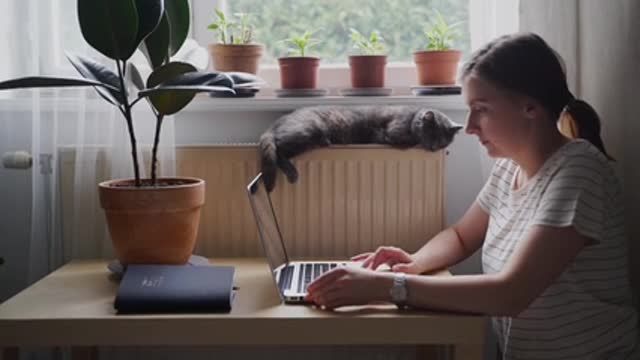 CATS will make you LAUGH YOUR HEAD OFF , try to dont laught