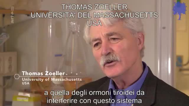 Domani, tutti Cretini?