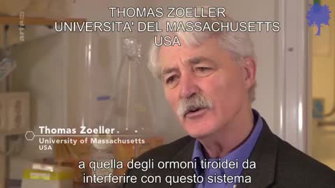 Domani, tutti Cretini?