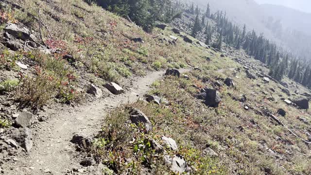 Entering the EPIC Three Fingered Jack Alpine Zone – Three Fingered Jack Loop – Central Oregon – 4K