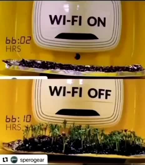 IN ТHIS VIDЕO YOU SЕЕ CLЕАRLY ТHЕ ЕFFЕCТS OF ЕMF WIFI RАDIАТION