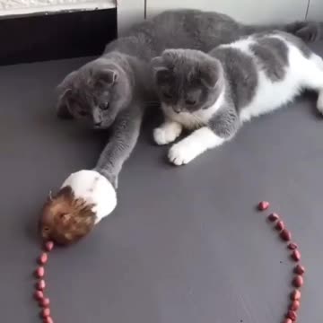 He has a surprise for you