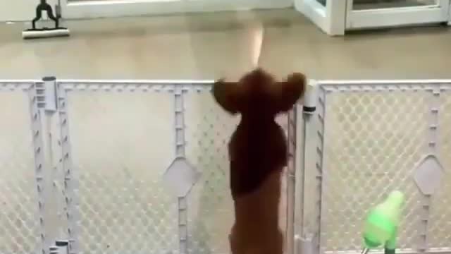 When you are waiting for daddy