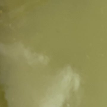 Minnows of the Humber River 10