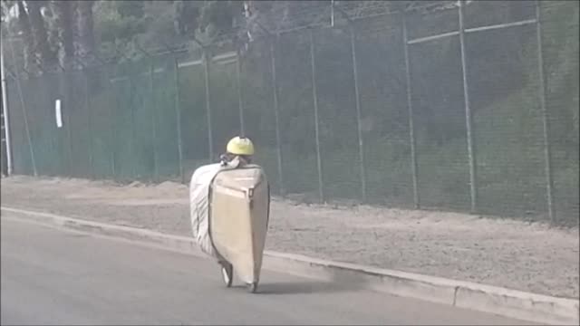 Asian girl's funny reaction to LA's odd-looking vehicle