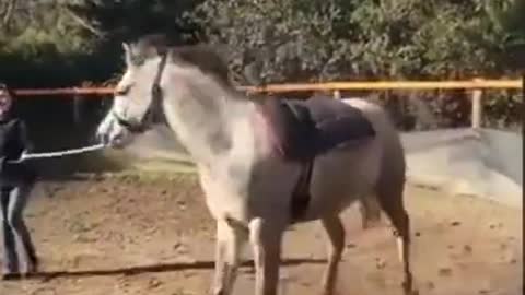 Horse get crazy and attacked on his owner 🤣🤣 funny animal video