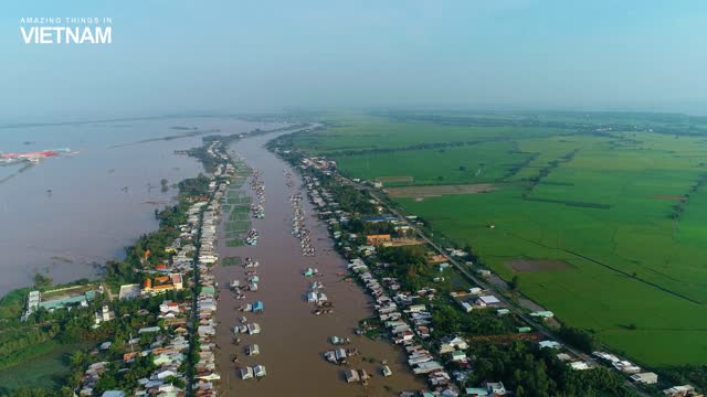 Mekong Delta