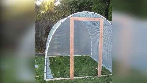 Greenhouse with your own hands