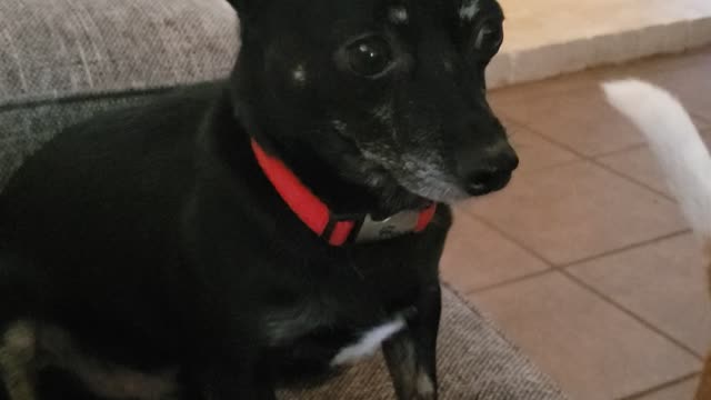 Isaiah 30:25 the day the Towers fall