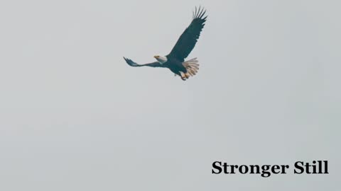 Pray USA, 6/28/23 Stronger Still