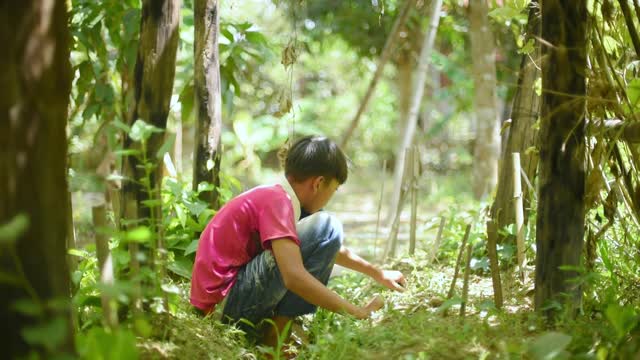 Cute boy on the forest