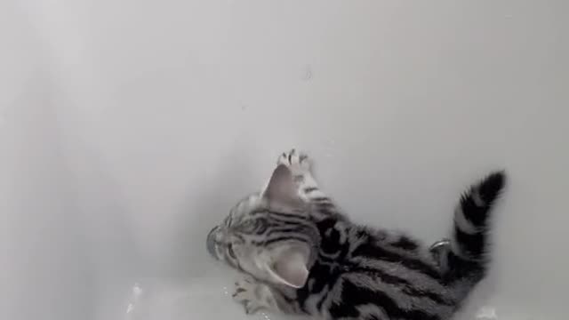 The Way He Jumped On The Toilet…🫣🤦🏽‍♂️