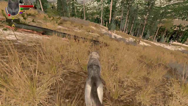 Mimic's Wolfquest AE all single player achievements - 47