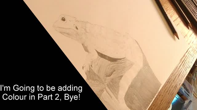 Bearded Dragon Drawing Tutorial "Using Pencils" Age 10yrs