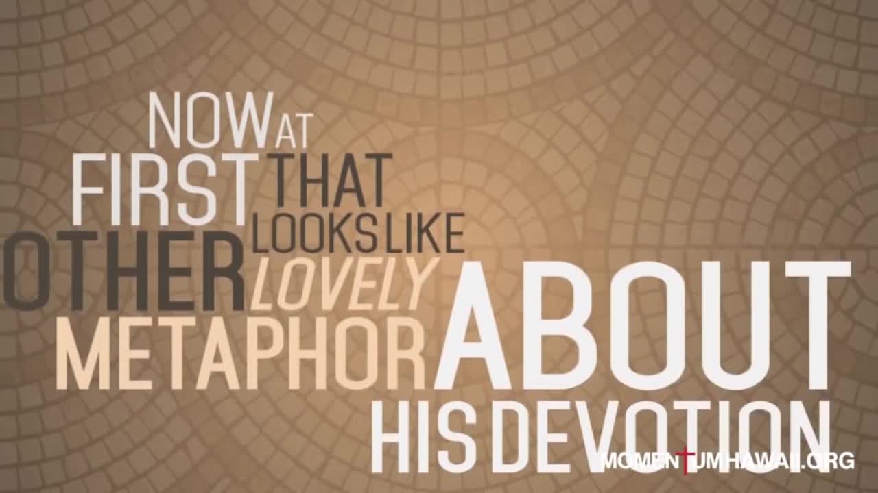 He Will Not Forsake You