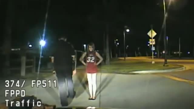 FUNNY DRUNK DRIVERS, KARMA FOR DRUNK IDIOTS