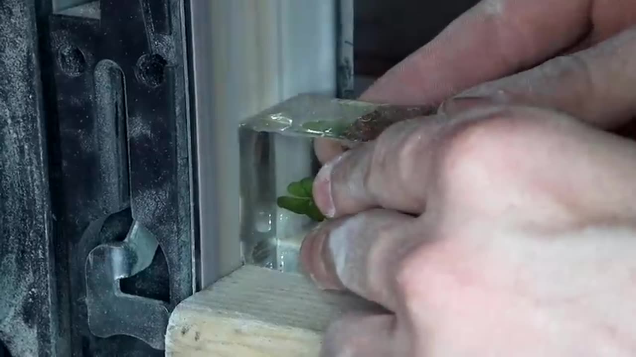 Four-leaf Clover in Epoxy Resin. DIY a Simple way ART RESIN