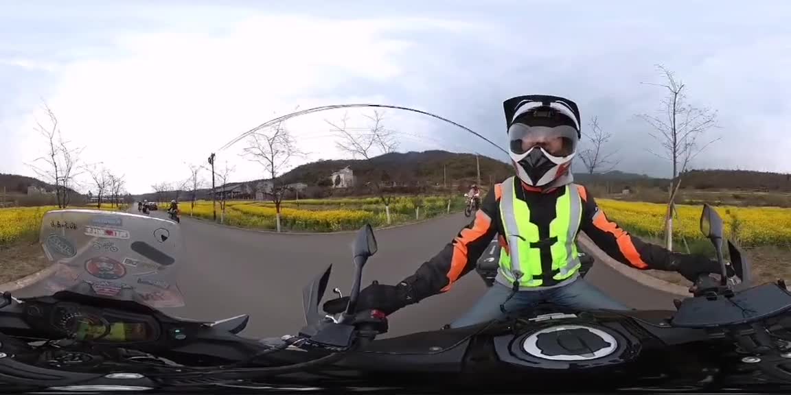 87_ Rape Flower Riding