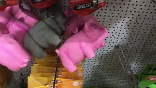 Pig Toy
