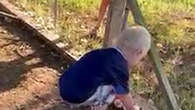 Picking eggs 🥚 in the morning