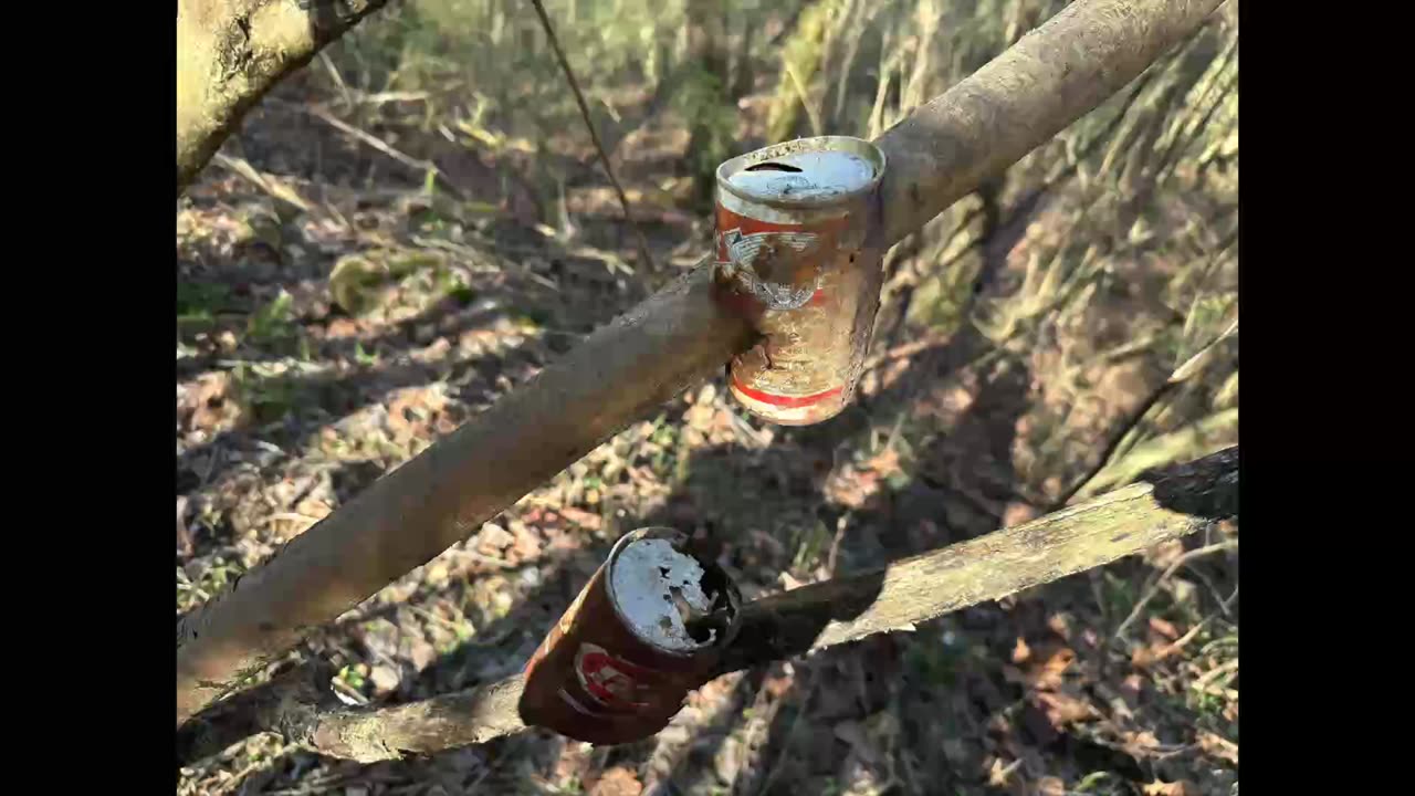 Abandoned Mine Search Leads to a BLOODY MESS