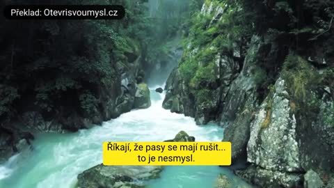 Ruší Británie vakcinační pasy? Nebo spíše psychologická manipulace?