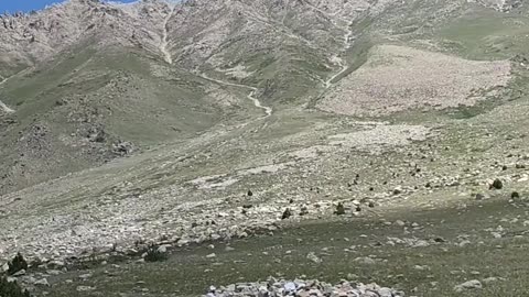 Deosai national park 🏞️ Astore