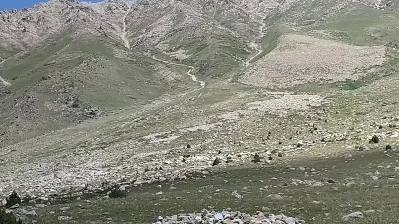 Deosai national park 🏞️ Astore