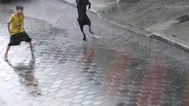 Boy and Dog Have a Blast in the Rain