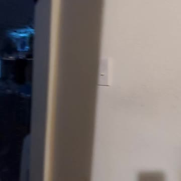 Pandi's favorite song ❤️