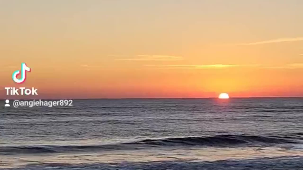 Enjoy the Sunrise Extended Video on my Channel #lovedogs #oceanview #recovery