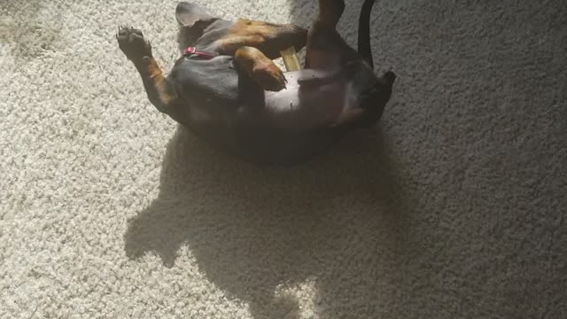 Learning how to play